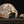Load image into Gallery viewer, Trucker Hat